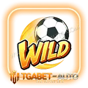 Shaolin-Soccer-สัญลักษณ์-wild-min