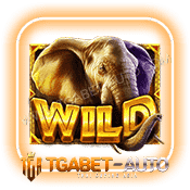 African-Elephant-สัญลักษณ์-wild-min